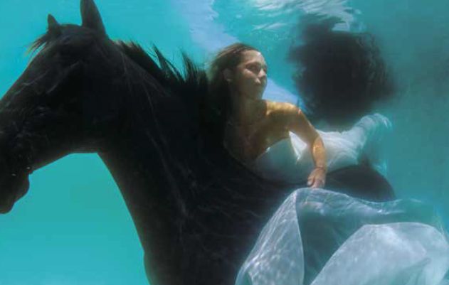 System • Text and Image